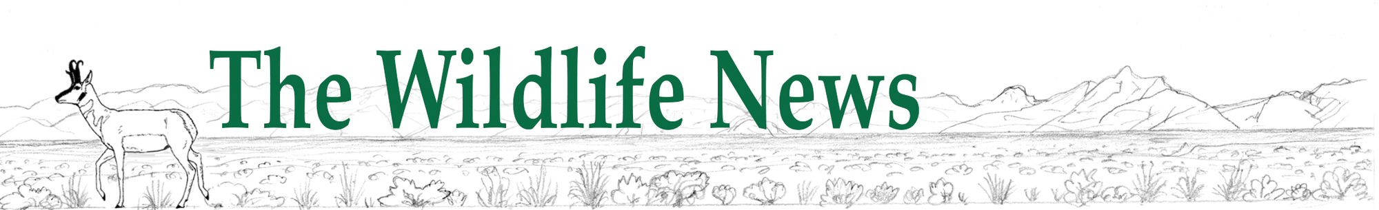 The Wildlife News